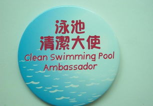 马口铁徽章 定制价格、厂家选择与广告应用全攻略